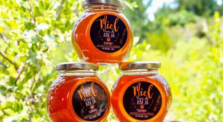 Miel de pequeños productores de santa bárbara llega Emiratos Árabes
