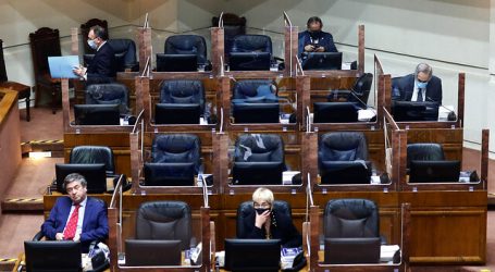Ingreso Mínimo: Senado aprueba insistencia y proyecto vuelve a la Cámara