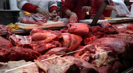 Coquimbo: 27 sumarios y 700 kilos de carne decomisados en Fiestas Patrias