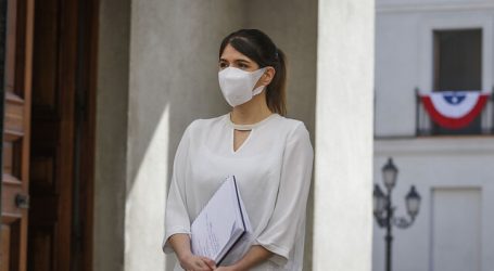 Plebiscito: Habrá permiso para hacer campaña en comunas en cuarentena