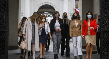 Mesa de Género Covid-19 entregó propuestas y conclusiones a Presidente Piñera