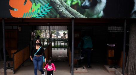 Después de seis meses reabre el Zoológico Nacional al público