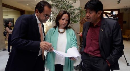 Federación Regionalista Verde Social busca expandirse en Ñuble