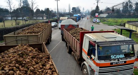 Cierran planta azucarera de Iansa en Los Ángeles