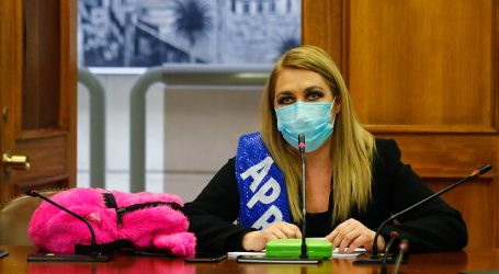 Jiles solicitó oficiar a Pérez y general Rozas por menor que cayó al río Mapocho