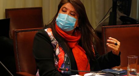 Diputada Mix ofició al ministro del Interior y al general director de Carabinero