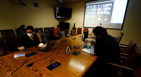 Pérez y Rozas expusieron ante Comisión de Seguridad Ciudadana de la Cámara