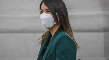 Personas de comunas en pasos 1 y 2 podrán sufragar portando solo carnet