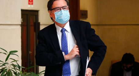 Diputados UDI: “En Plaza Italia gobierna el lumpen y en Araucanía terroristas”