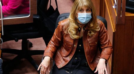 Rincón: “Necesitamos avanzar hacia una Constitución Plurinacional”