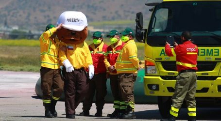CONAF y CORMA suman fuerzas para el combate de incendios forestales