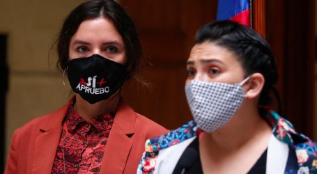 Cariola llama al Gobierno a asumir responsabilidades por violación de DD.HH