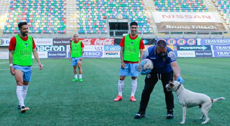 Audax Italiano derrotó a O’Higgins y escaló varias posiciones en la tabla