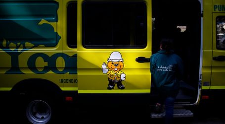 Convenio CONAF y municipio: Santiago sumará 2.000 árboles a sus áreas verdes