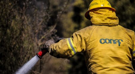 Declaran Alerta Roja para la comuna de Alto Biobío por incendio forestal
