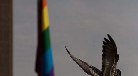 Fundación Iguales coordina izamiento de banderas de la diversidad