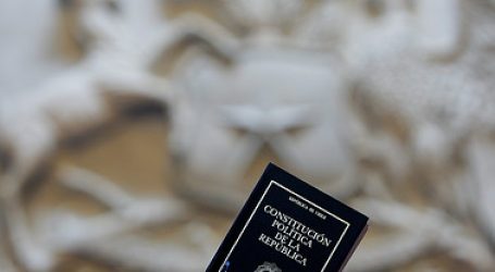 Encuesta: Chilenos apoyan incluir el medio ambiente en la nueva Constitución