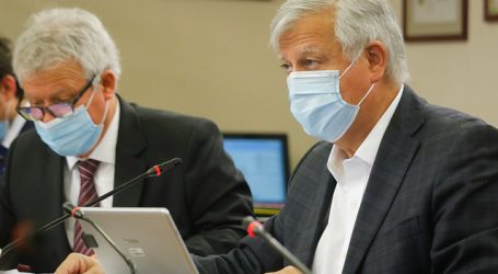 Saavedra: “Piñera se refugia en el TC para defender los intereses de las AFP”