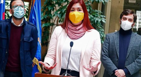 Pérez califica de “miserable y mezquina” decisión del Gobierno de ir al TC