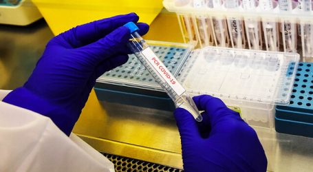 Pandemia de coronavirus vuelve a batir récord con 11.274 muertos en 24 horas
