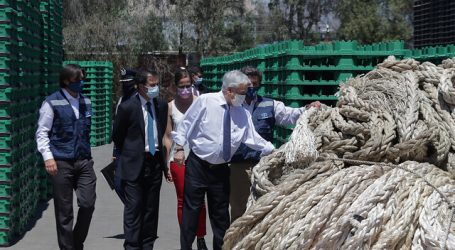 Piñera por Imacec: “La recuperación de la economía ya está en marcha”