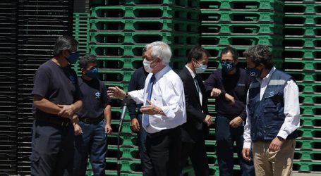 Piñera por La Araucanía: “Vamos a derrotar esa violencia y ese terrorismo”