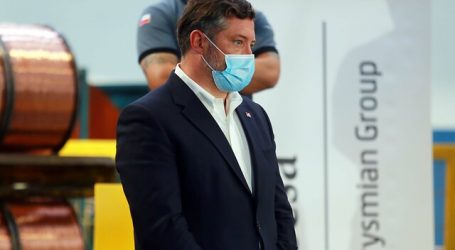 Presidente Piñera llamó a las empresas a sumarse al subsidio al empleo