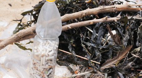 Llaman a no dejar mascarillas y guantes en la arena de playas de Viña del Mar