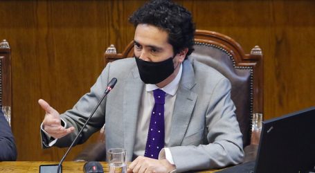 Briones abordó intención de recurrir al TC por segundo retiro del 10%