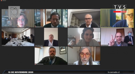 Senadores conocieron propuesta del Ejecutivo por retiro de fondos previsionales