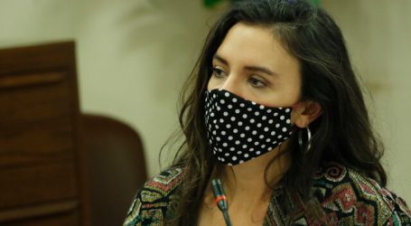 10%: Jadue y diputadas PC recurren al TC por acción ingresada por el Gobierno