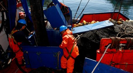 Asipes criticó avance de proyecto que anula la actual Ley de Pesca