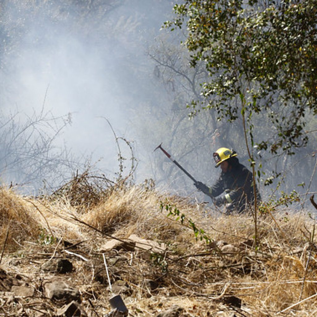 Conaf Región Metropolitana suspendió las quemas agrícolas controladas