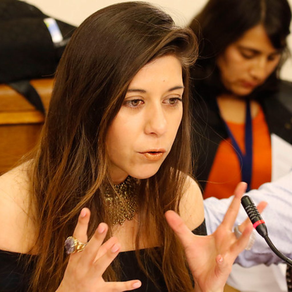 Cicardini respaldó opción de Paula Narváez como carta presidencial del PS