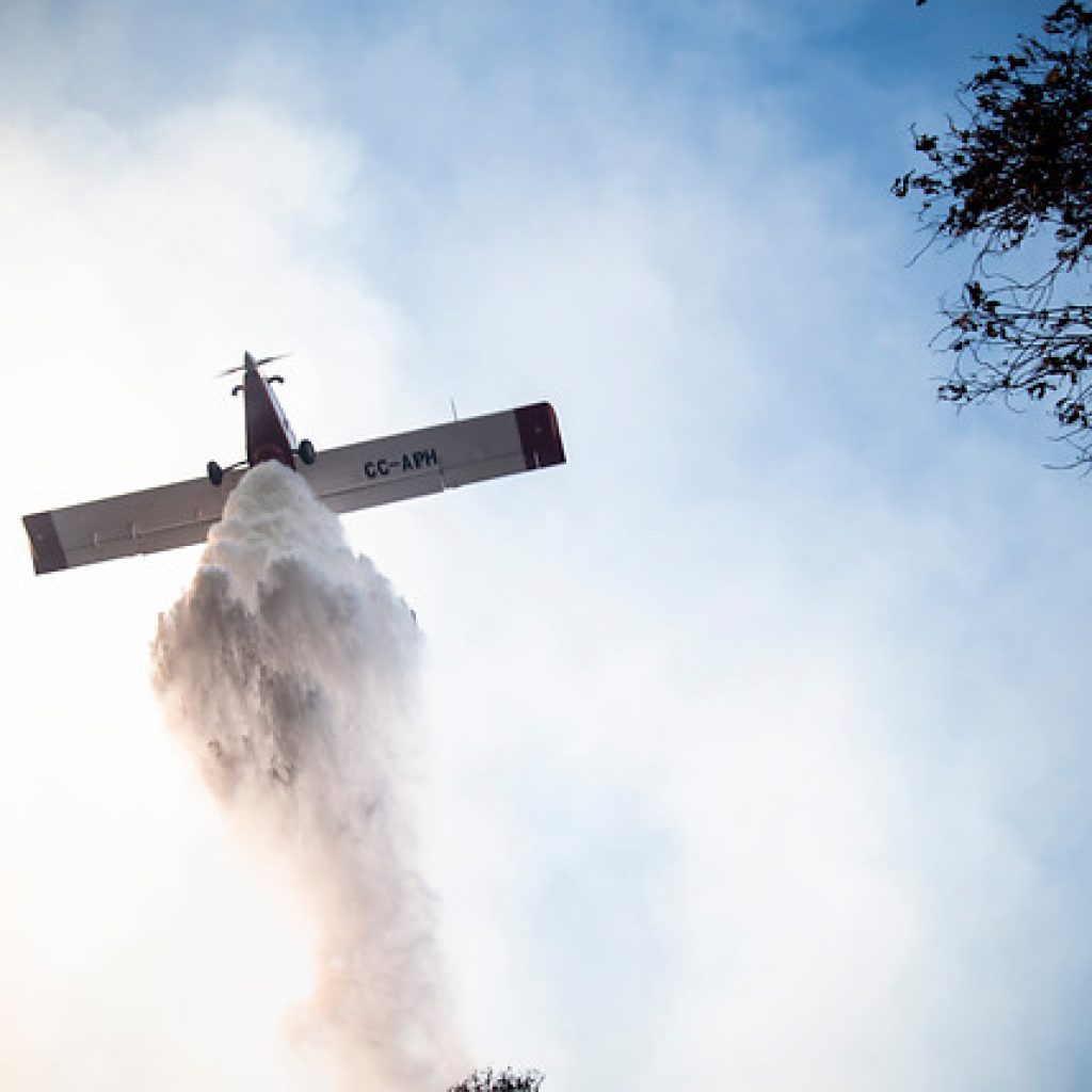 Alerta Roja para la comuna de San Clemente por incendio forestal