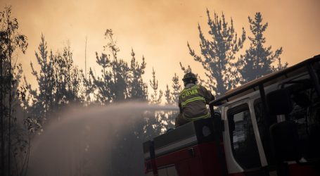 Se declara Alerta Roja para la comuna de Olmué por incendio forestal