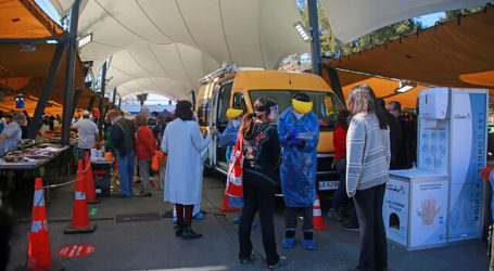 Autoridades fiscalizaron a ferias libres en fin de semana de cuarentena en RM