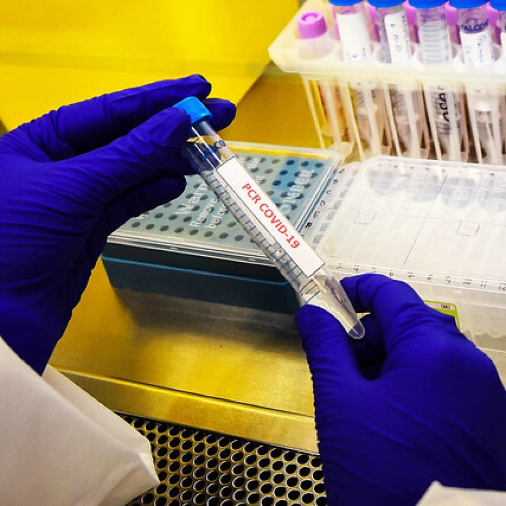 Expertos de la UTalca analizan nueva cepa del Coronavirus