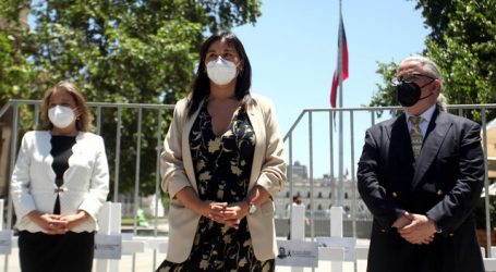 Izkia Siches gana la presidencia del Colegio Médico