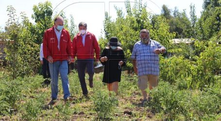 Walker pide no especular con los precios tras derrumbe en el canal Las Mercedes