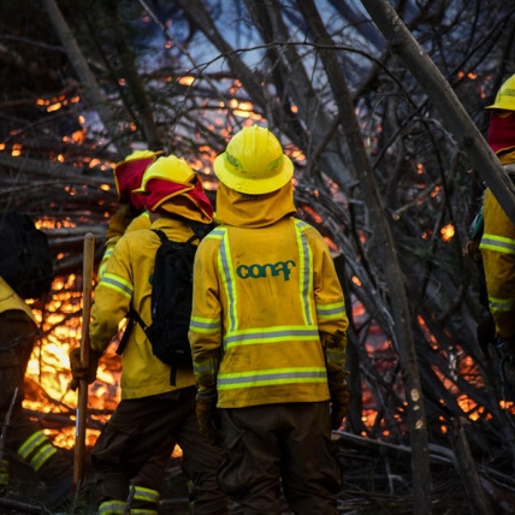 Actualizan Alerta Temprana Preventiva para RM por amenaza de incendio forestal
