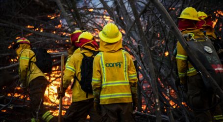Actualizan Alerta Temprana Preventiva para RM por amenaza de incendio forestal