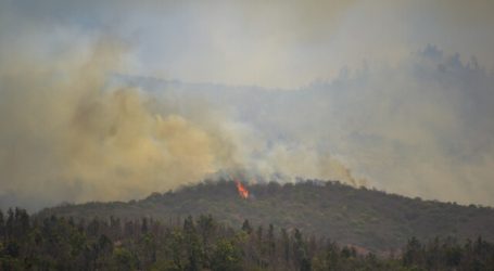Mantienen la Alerta Roja en la comuna de Quilpué por incendio forestal