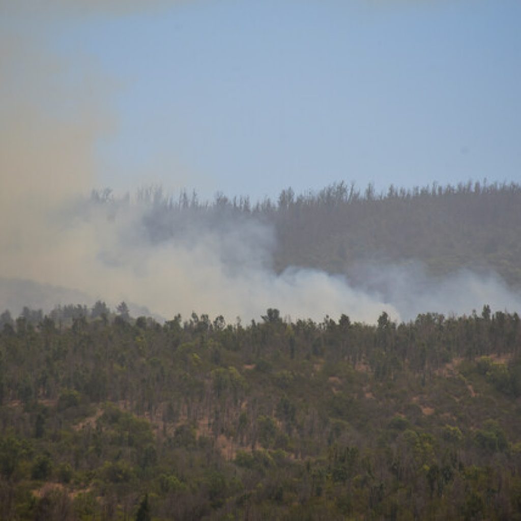 Declaran Alerta Roja por incendio forestal en Valparaíso