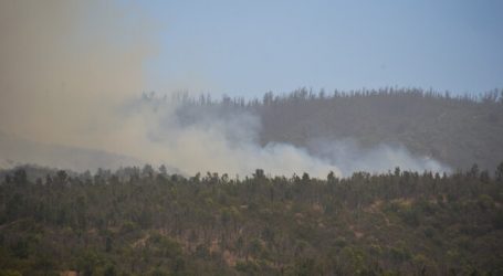 Declaran Alerta Roja por incendio forestal en Valparaíso