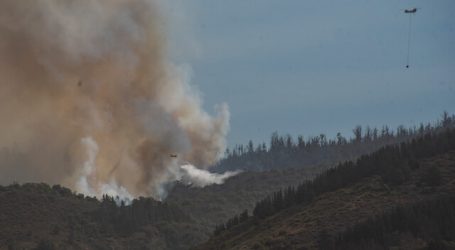 Se mantiene Alerta Roja para la comuna de Quilpué por incendio forestal