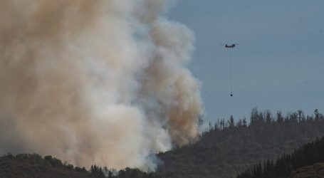 Realizan balance sobre incendios forestales en primeros meses de la temporada