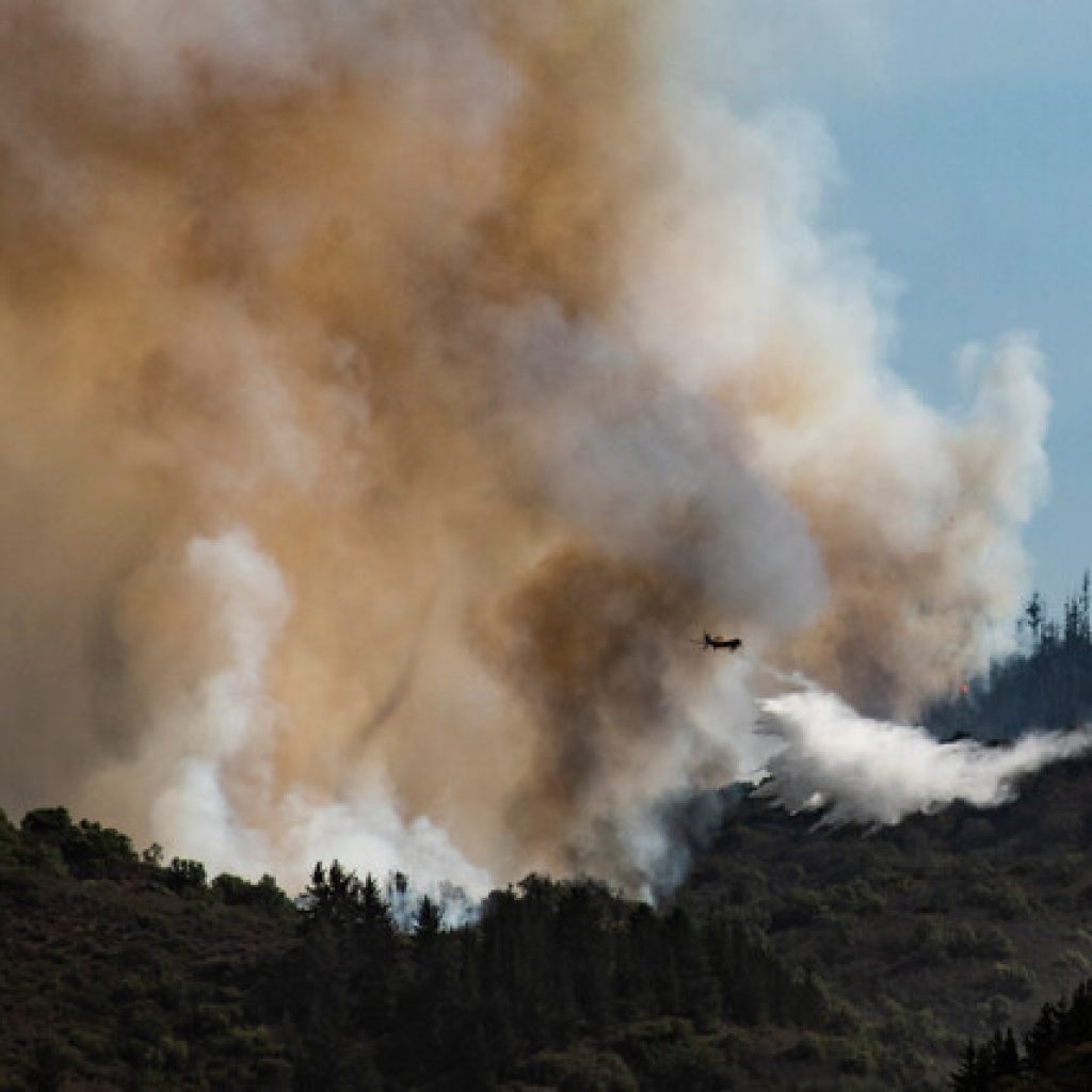 Mantienen Alerta Roja para comuna de Quilpué por incendio forestal