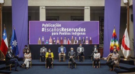 CONADI celebró la publicación de la ley de escaños para pueblos indígenas