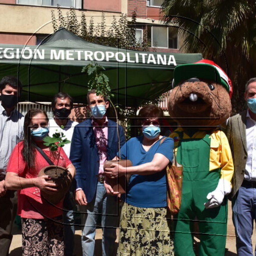 Vecinos de Santiago recibieron un árbol como regalo de navidad